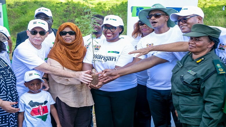 ​NEMC YATOA WITO KWA NCHI ZA AFRIKA KUCHUKUA HATUA MADHUBUTI ZA UTUNZAJI WA MAZINGIRA KWA KUPANDA MITI cover image